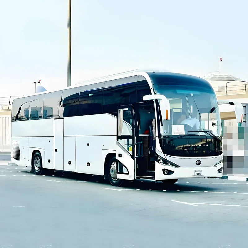 Пневматическиеэлектрические распашные одно-двухстворчатые двери (наружу) (10)